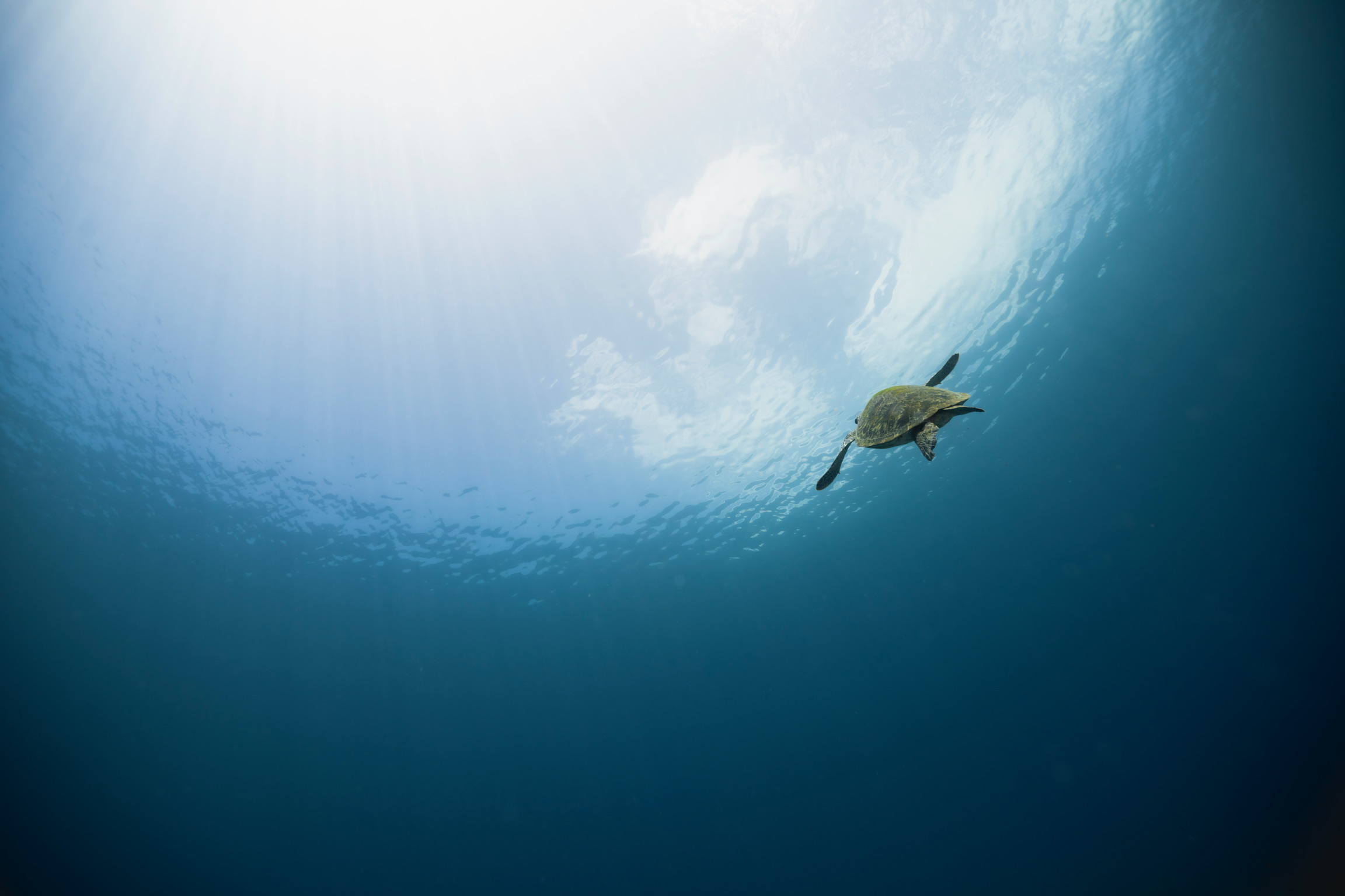 スケジュール画像